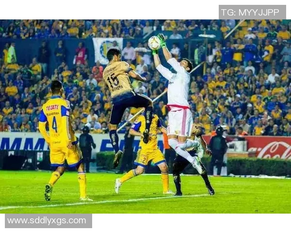 2017年墨美洲对阵老虎大学的精彩赛事回顾与分析