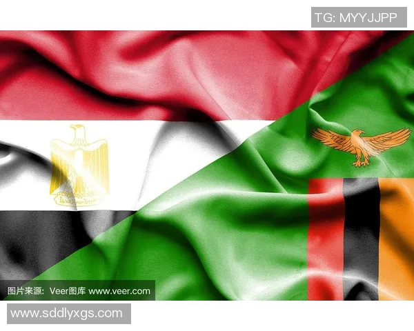 埃及与津巴布韦足球对决分析：历史交锋与战术解析