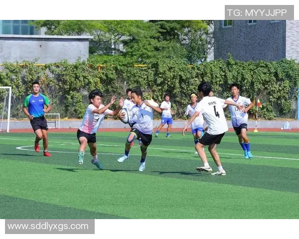 七人制橄榄球的魅力与挑战探索这项运动的技术与团队合作精神