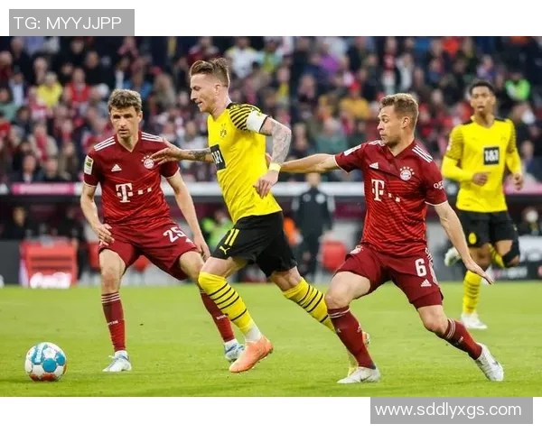 多特蒙德与拜仁慕尼黑对决中缺席球员分析与影响探讨