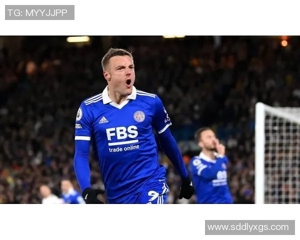 莱斯特城主场迎战埃佛顿双方争夺英超宝贵积分 莱斯特城主场迎战埃佛顿双方争夺英超宝贵积分