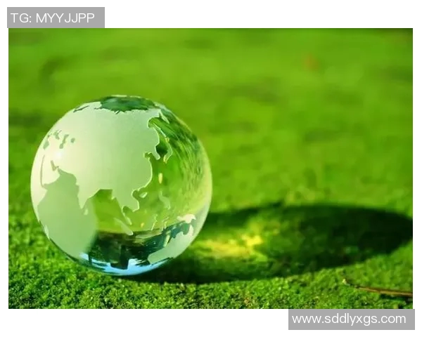 顾全大局与个人利益的平衡探讨:如何在复杂环境中做出明智选择 顾全大局与个人利益的平衡探讨:如何在复杂环境中做出明智选择