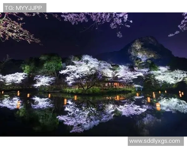 京都与北九州的文化碰撞与旅游魅力探秘之旅