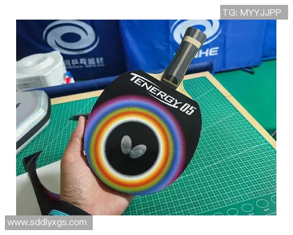 探索蝴蝶乒乓球拍的独特魅力与技术创新之旅